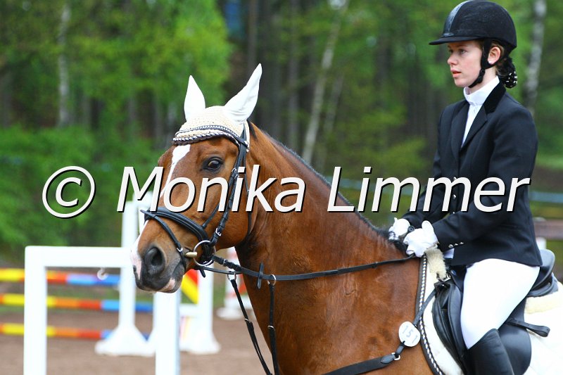 005L4835_Lando_Spring  Ax.JPG